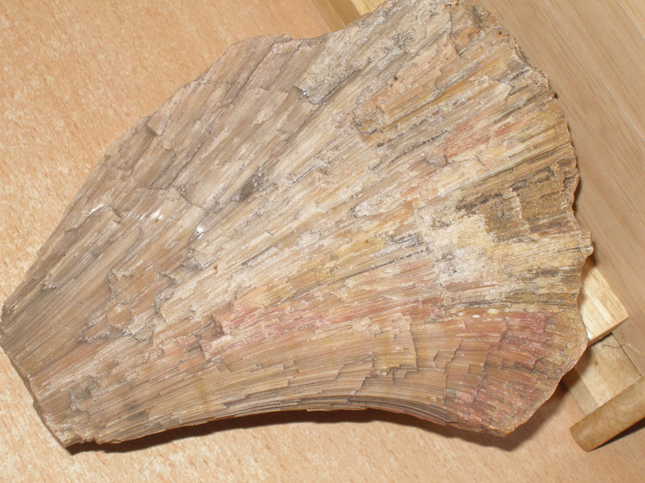 P5250080__.jpg