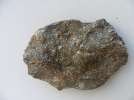 SAM_0618.jpg