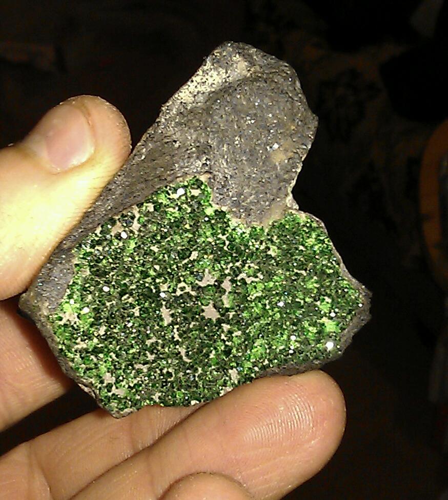 IMAG0154-1.jpg