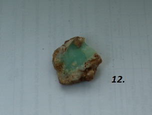 DSC08260.JPG