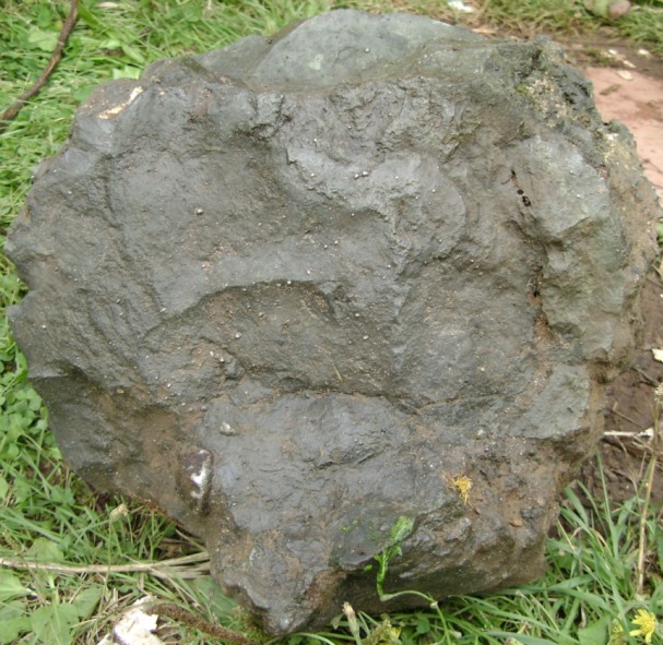 551.jpg