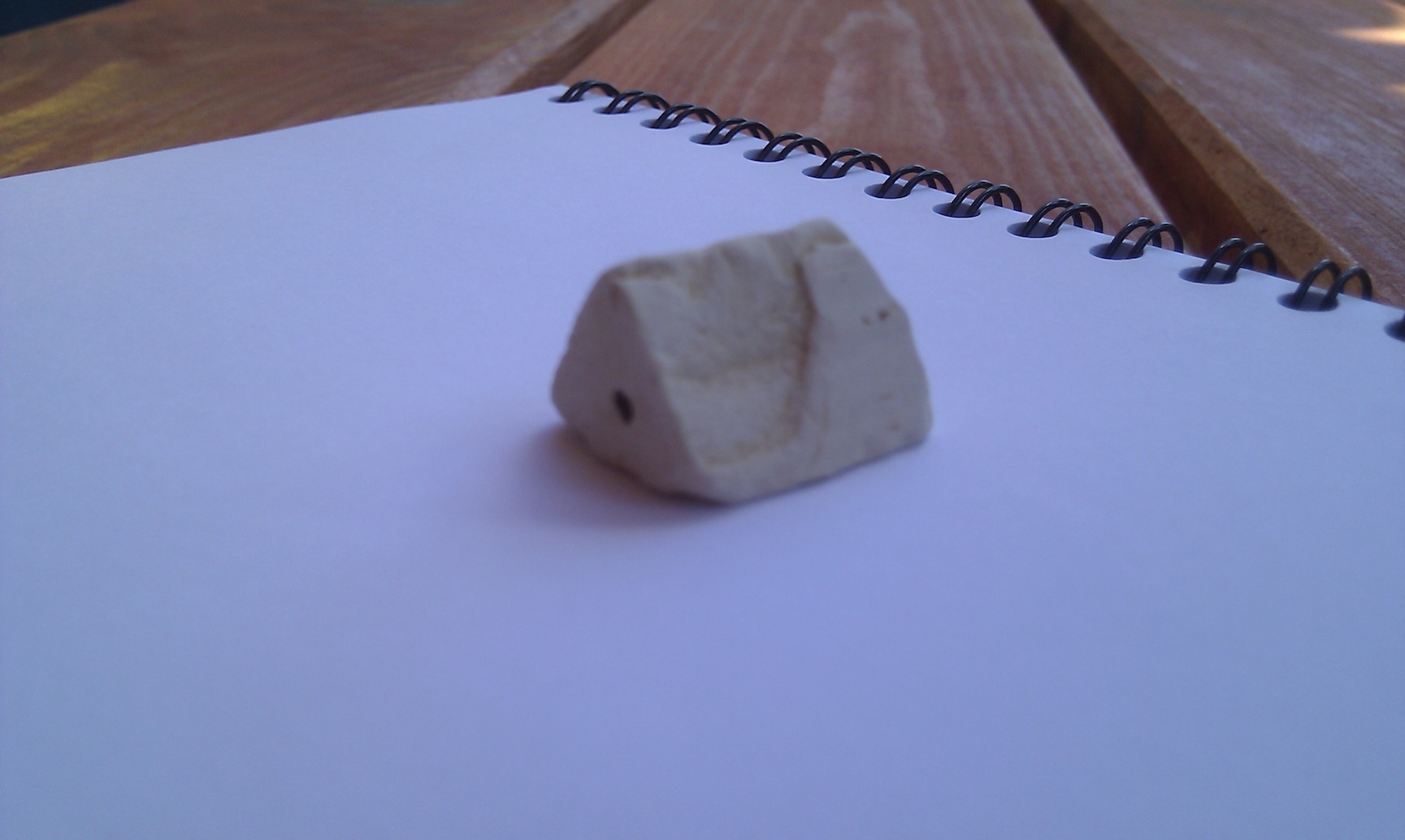 IMAG0019.jpg