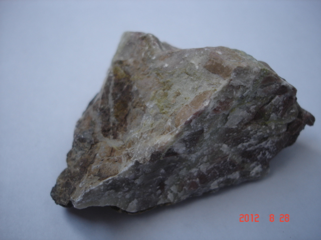 DSC09569.jpg