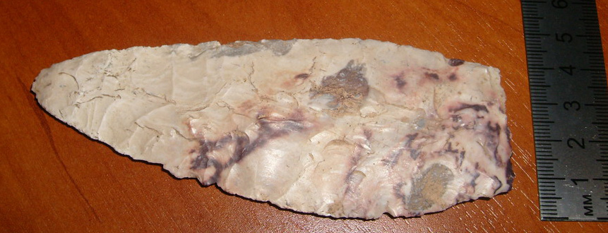 S7301908_resize.JPG
