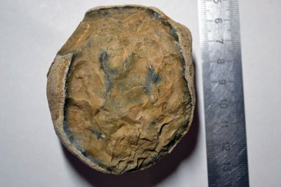 DSC_0043.JPG