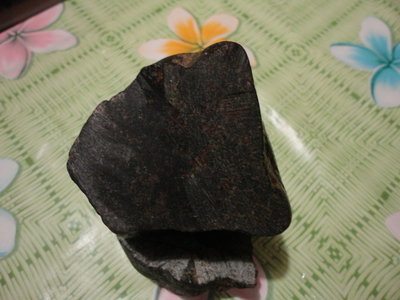 DSC02229.jpg