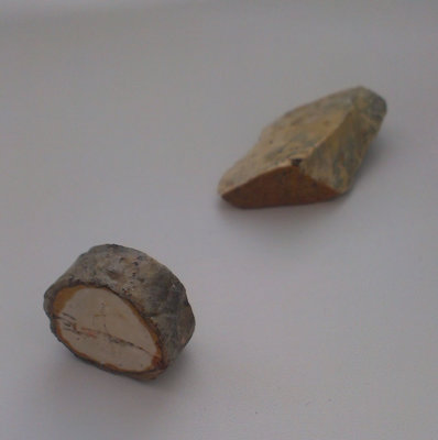 IMAG0450.jpg