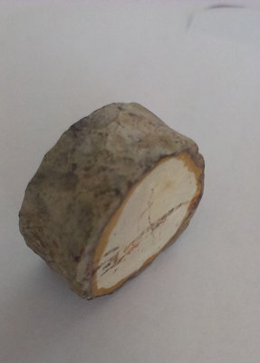 IMAG0453.jpg