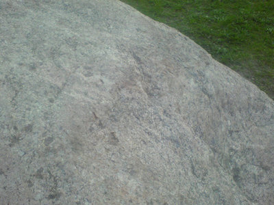 DSC05426-.jpg