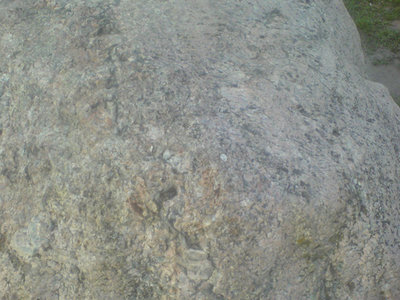 DSC05428-.jpg