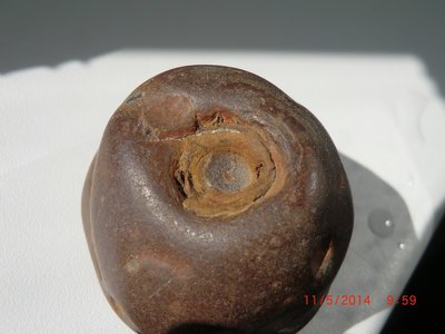 CIMG6987.JPG