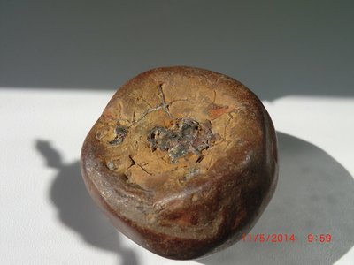 CIMG6988.JPG