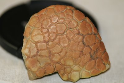 1.jpg (106.86 КБ) 5421 просмотр 1.jpg