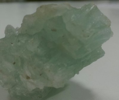 IMAG1350_1.jpg