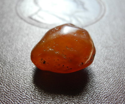 DSCN1308.JPG