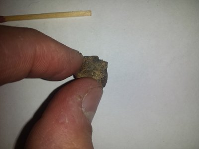 20151008_210504.jpg