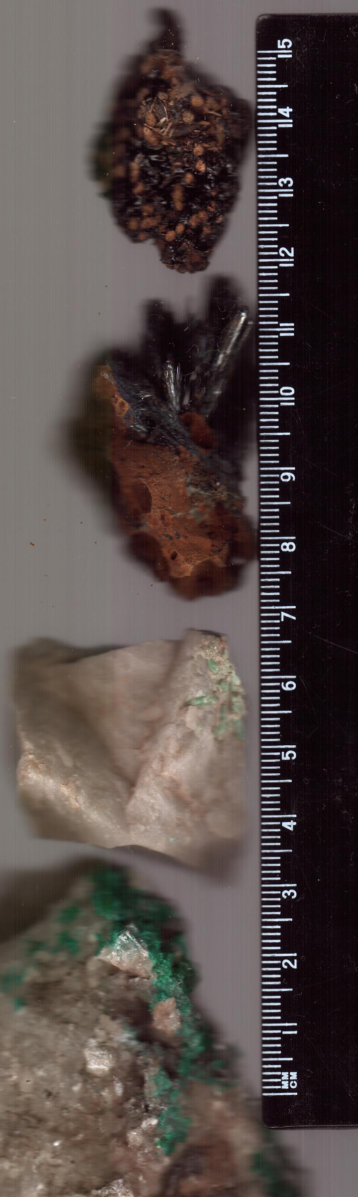 редкости 5.JPG